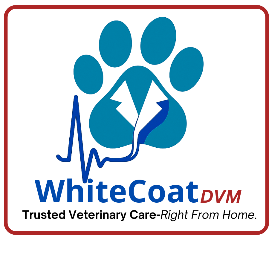 WhiteCoat DVM Logo